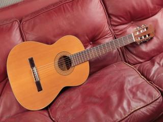 aria a548 made in japan 80