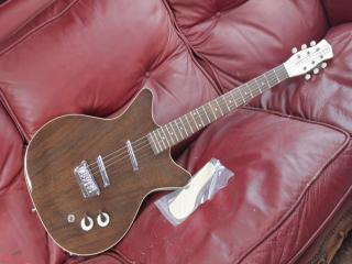 danelectro 59 divine