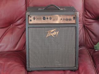 peavey ecoustic 110fx