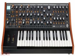 moog subsequent 37
